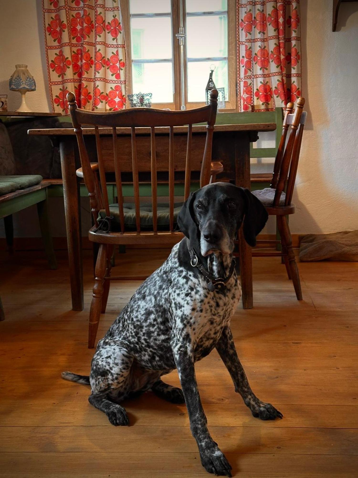 Willa Zum Oidn Schmie Haus Pemfling Zewnętrze zdjęcie